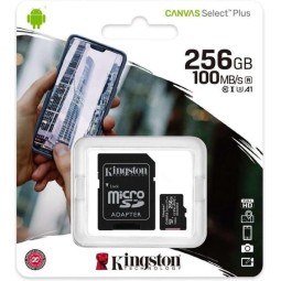 Kingston Micro-SD Memory Card 256GB Class 10