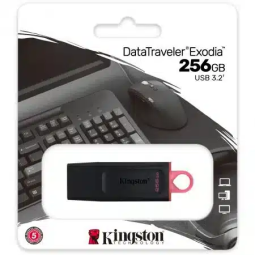 Kingston USB-Stick 256GB