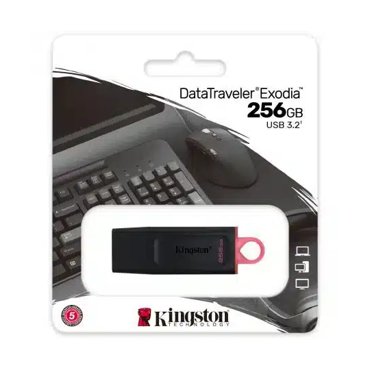 Kingston USB-Stick 256GB