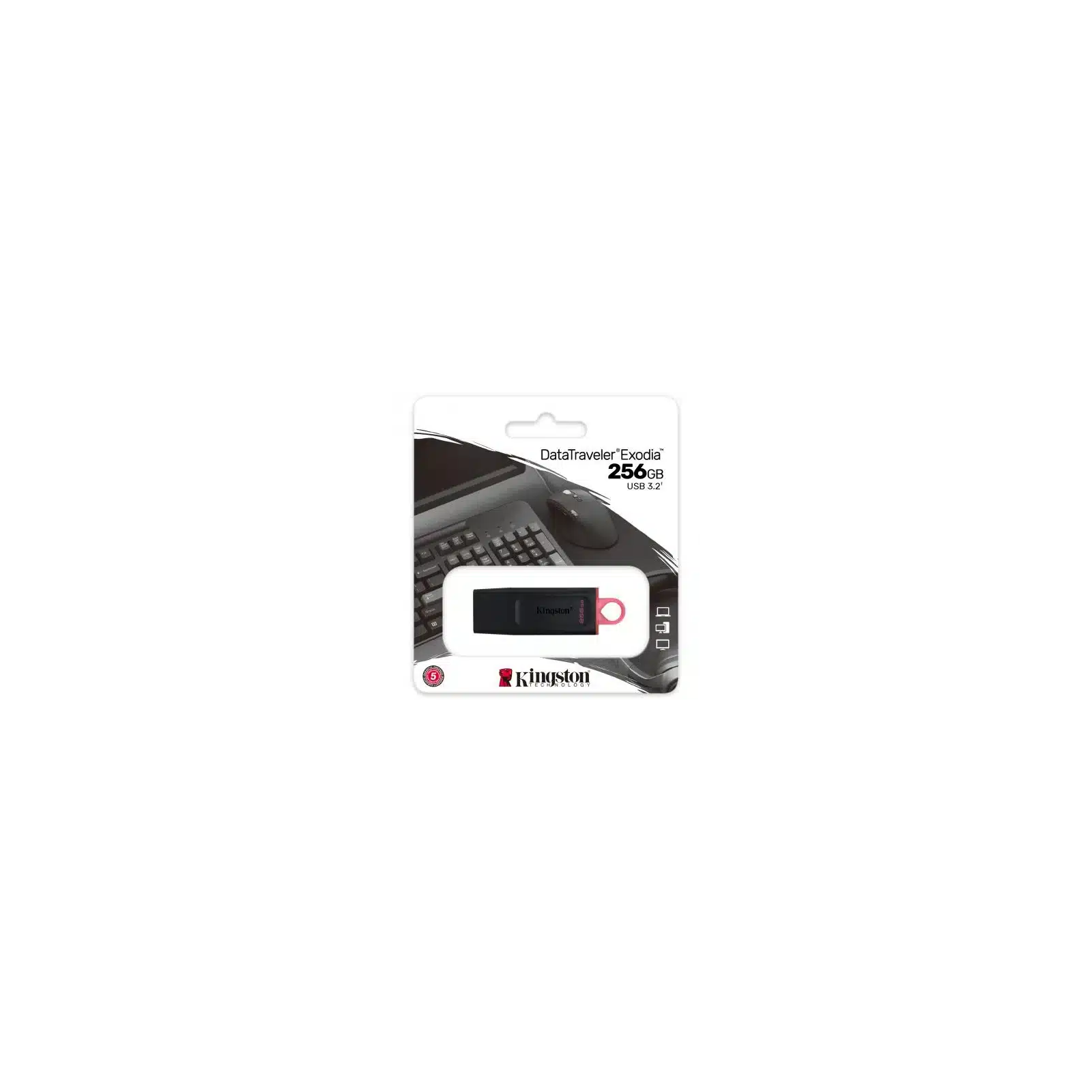 Kingston USB-Stick 256GB